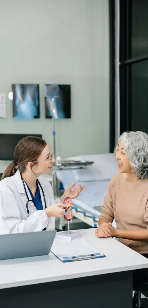 Doctor explains kidney model to an elderly patient in a clinic setting on a desk with charts and a laptop nearby